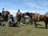 Mongolei-Erlebnisreise-Pferde