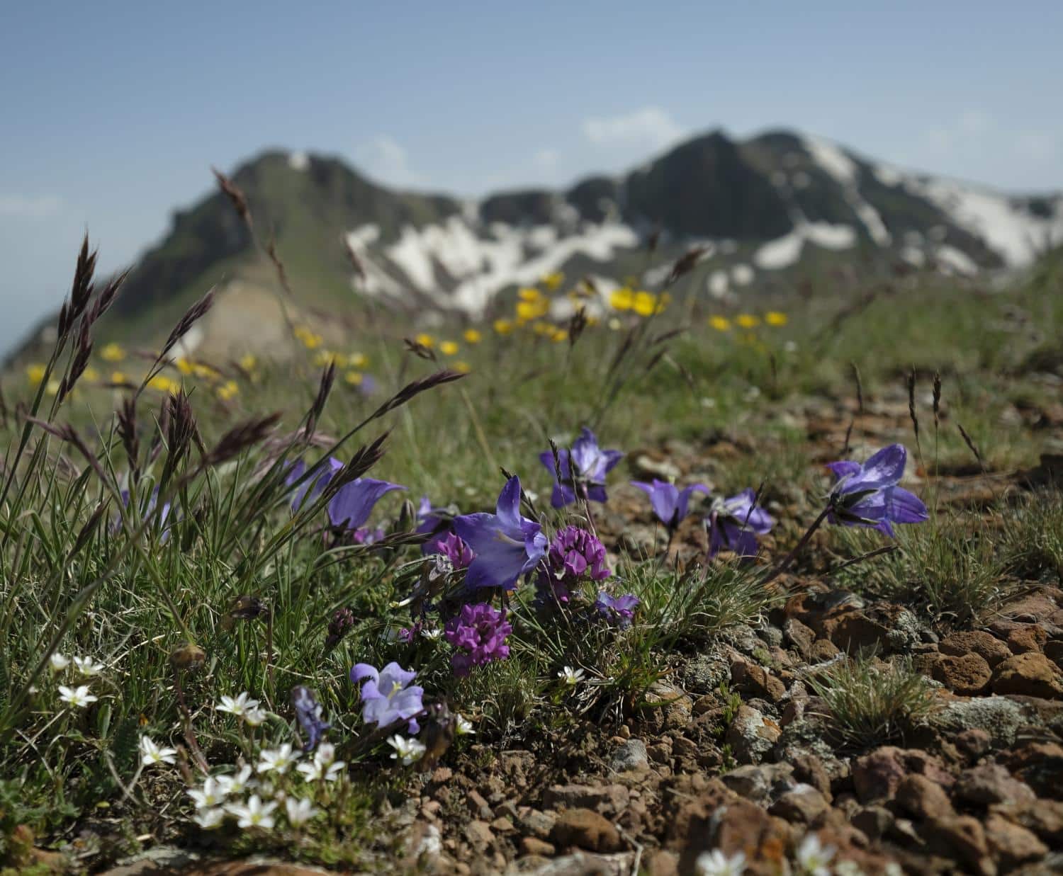 Armenien-Osterreise: Frühling zu Füßen des Ararat