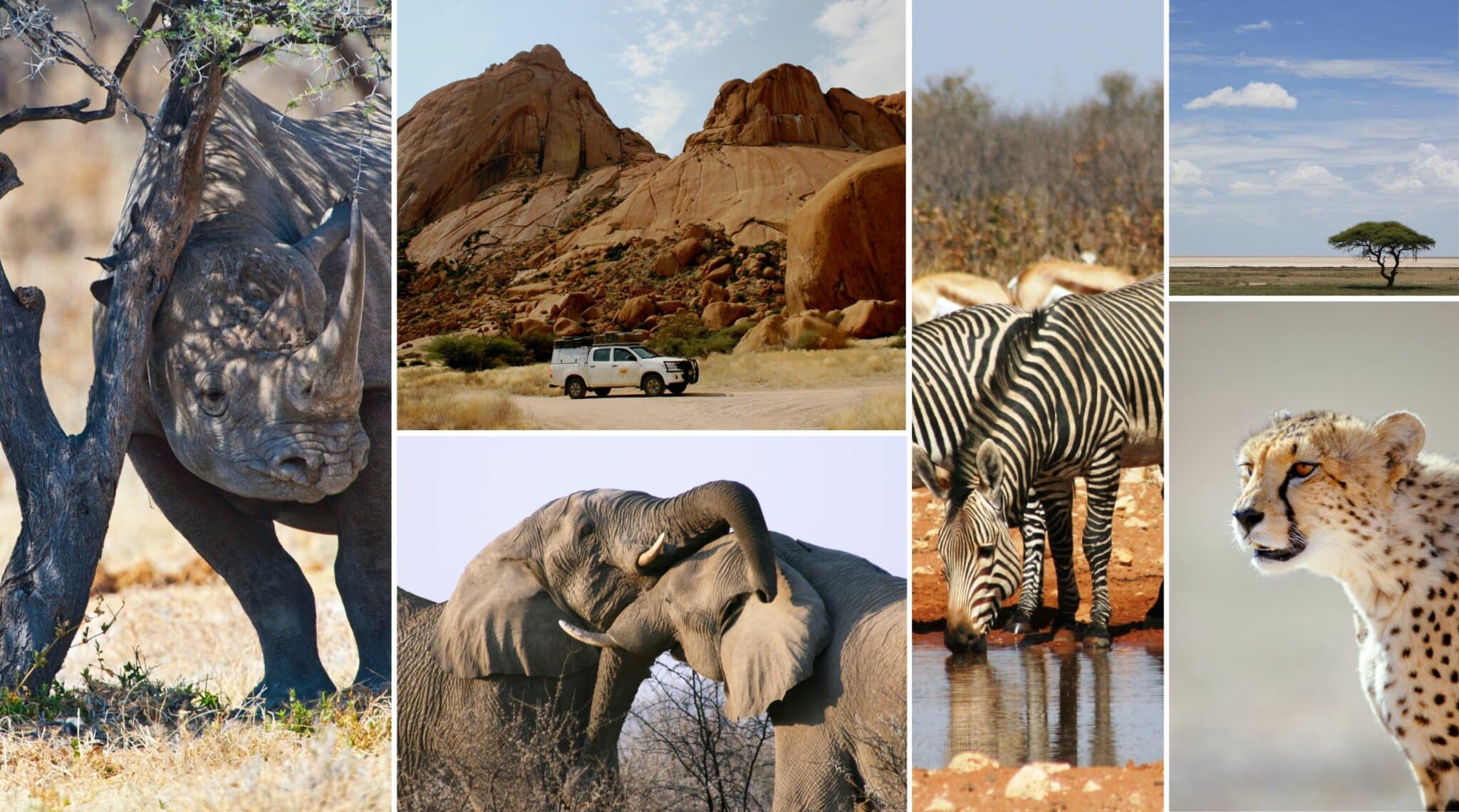 Collage Namibia