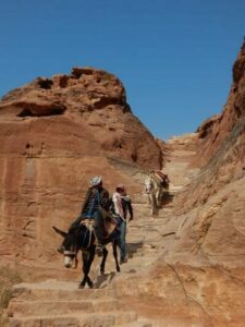 Jordanienreise-Esel-Berge-Petra