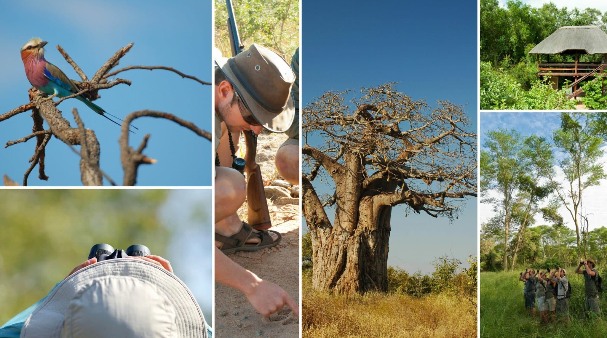 Ranger-Kurs: Birding in the bush