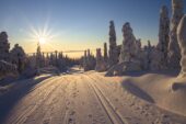 Finnland-Winterreise-Loipe