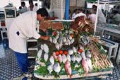 Marokko-Wanderreise-Fischmarkt-Töpferstadt Safi