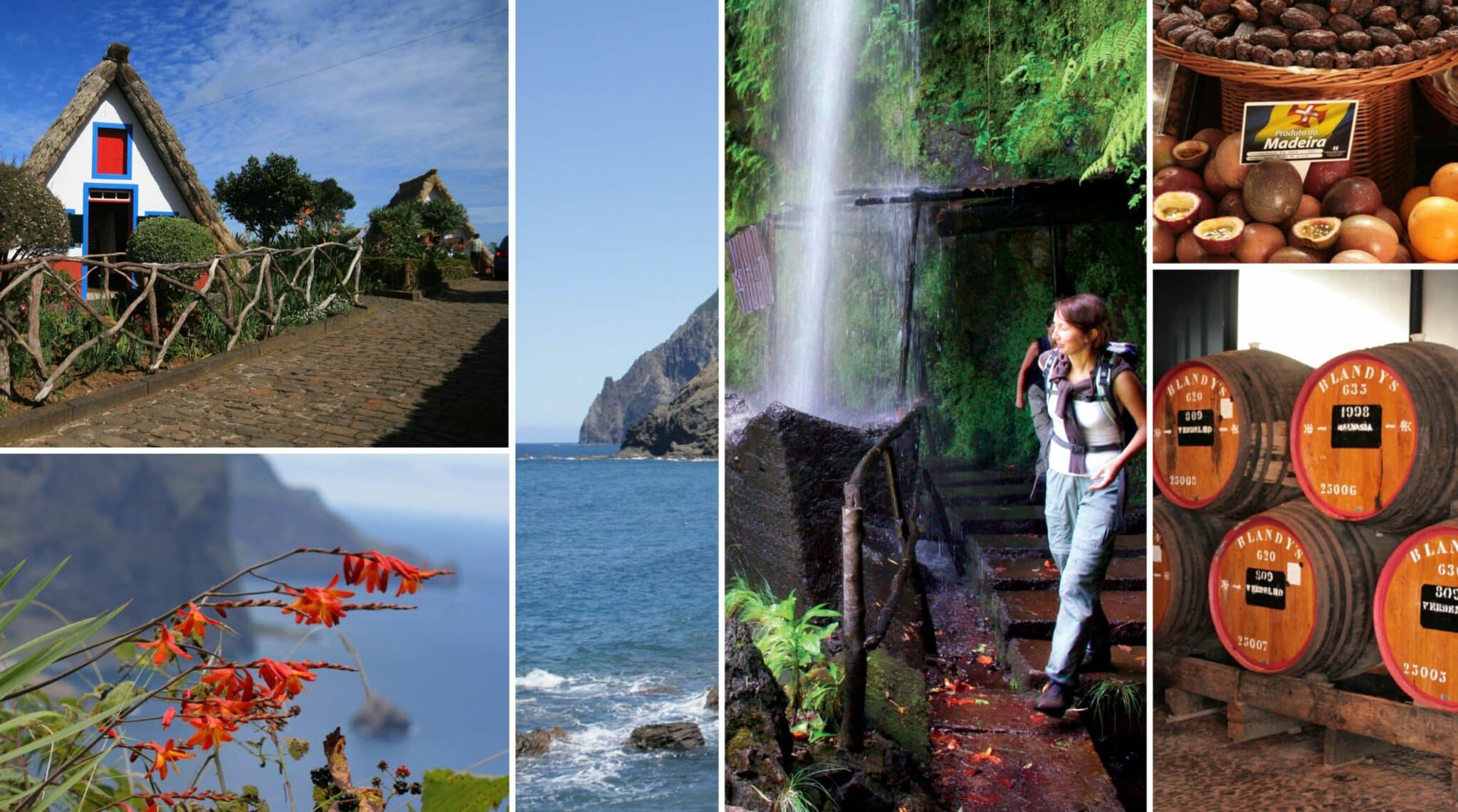Portugal-Wanderreise: Die immergrüne Blumeninsel Madeira