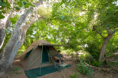 Ranger-Ausbildung-Südafrika-Mashatu-Camp