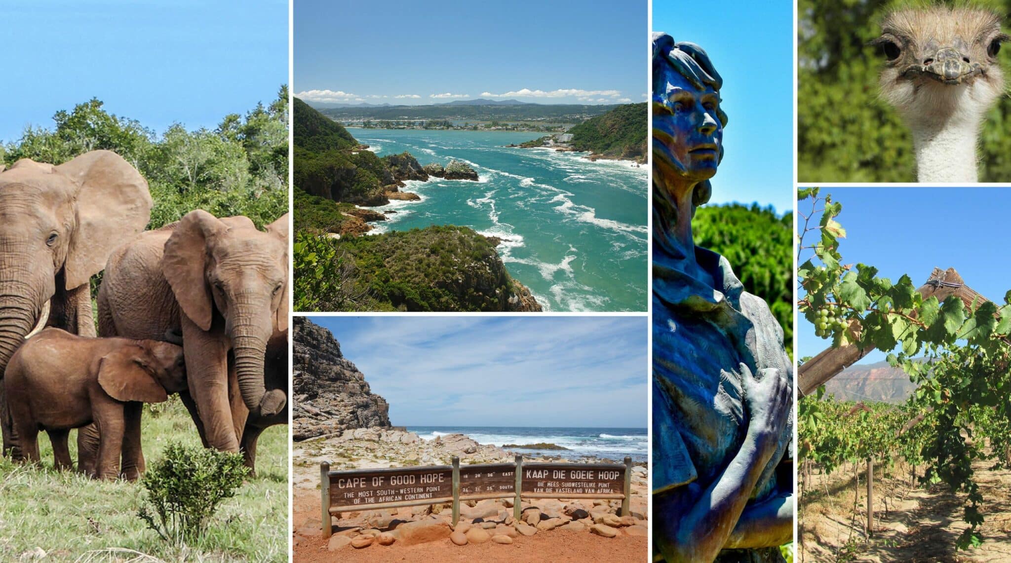 Südafrika-Erlebnisreise: Wilde Natur, Wein und Whale Watching
