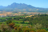 Südafrika-Erlebnisreise-Weinregion