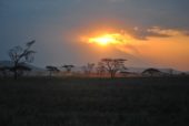 tansania-erlebnisreise-sonnenuntergang