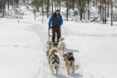 Finnland-Winterreise-Husky-Safari