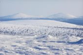 Finnland-Winterreise-Landschaft-Schnee