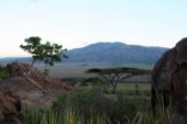 tansania-erlegnisreise-landschaft-serengeti